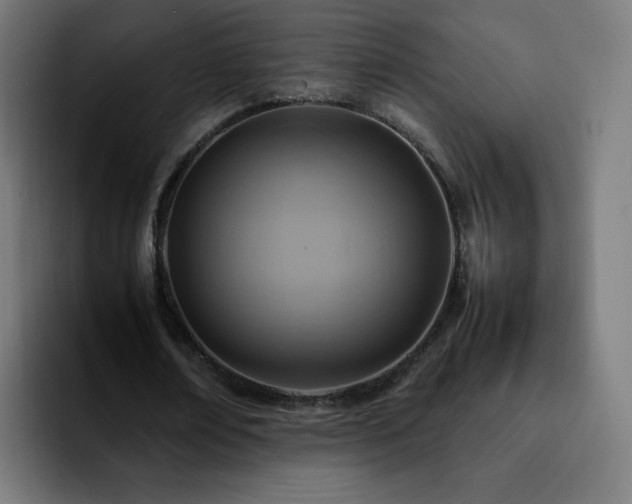 X0000092220674200709211008