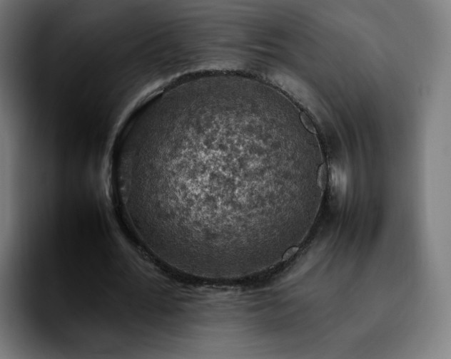 X0000092220676200709211008