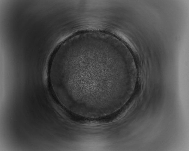 X0000092220677200709211008