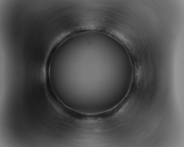 X0000092220678200709211008