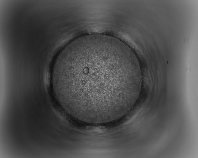 X0000092220683200709211008