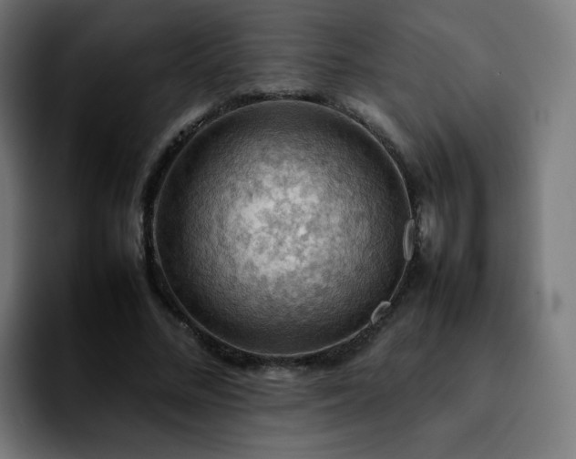 X0000092220684200709211008