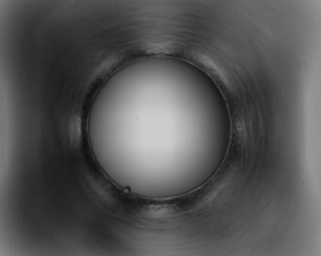 X0000092220686200709211008