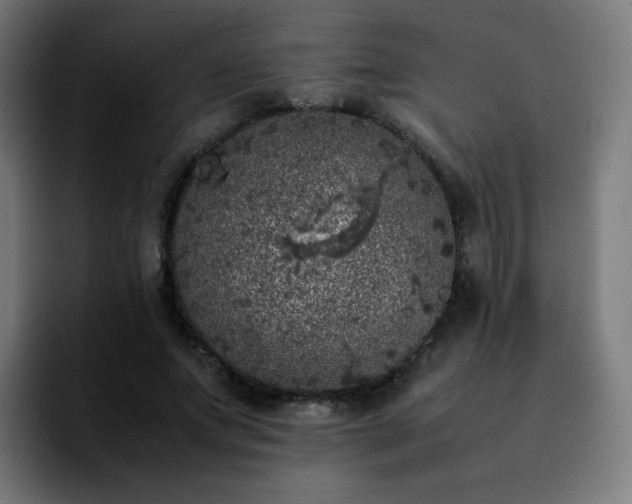 X0000092220687200709211008