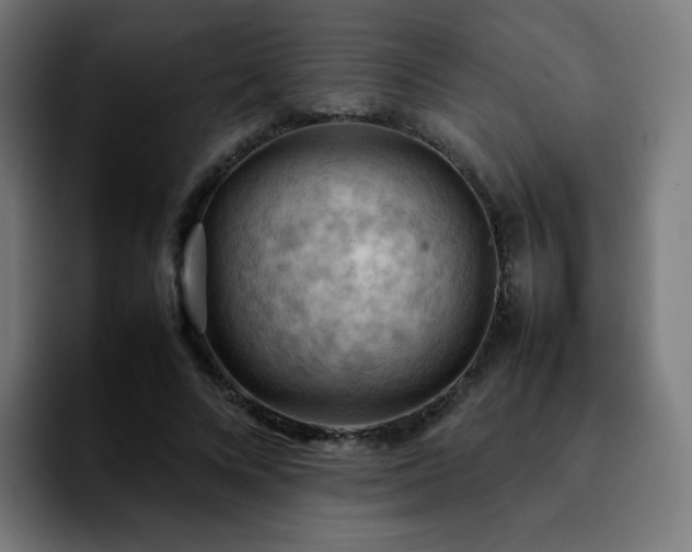 X0000092220688200709211008
