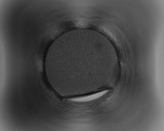 X0000092220689200709211008