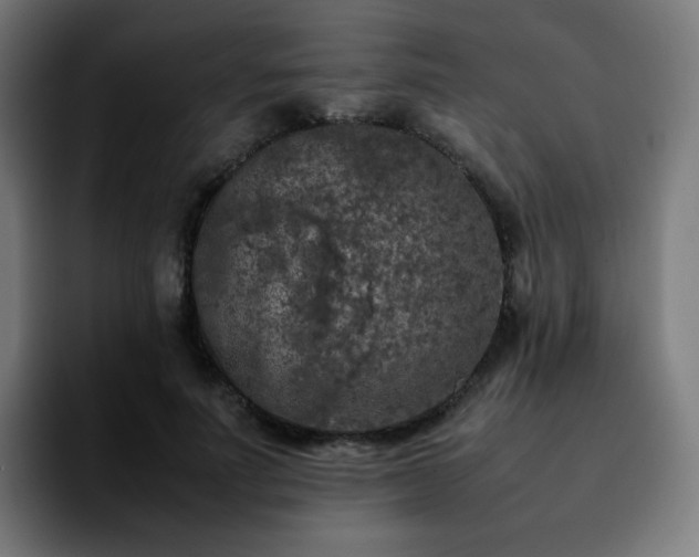 X0000092220691200709211008