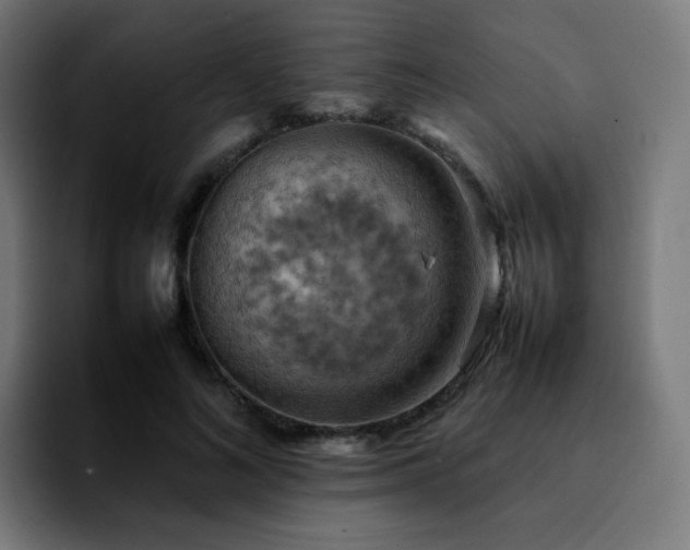 X0000092220692200709211008