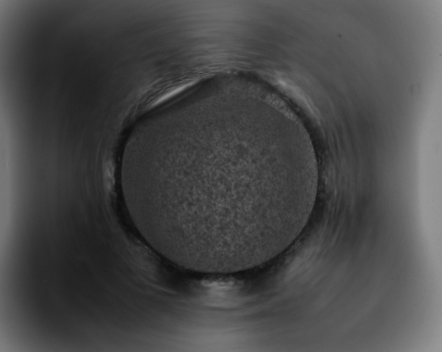 X0000092220693200709211008