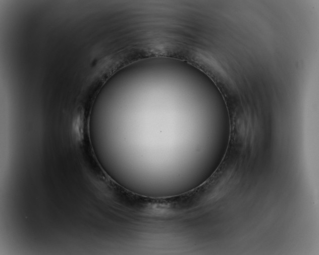 X0000092220694200709211008