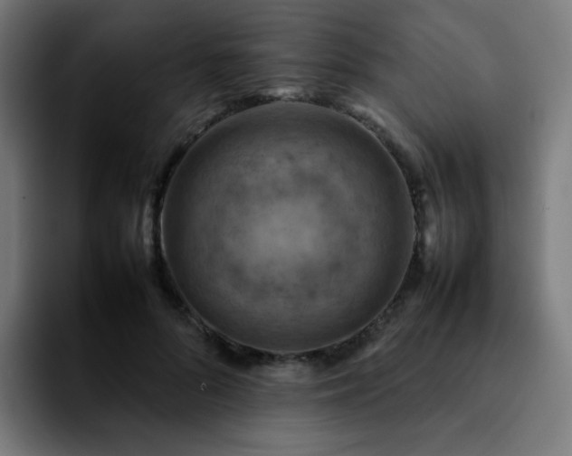 X0000092220696200709211008