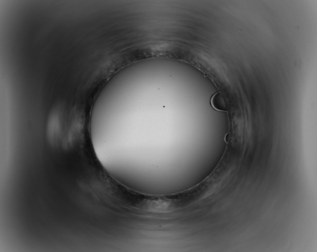 X0000092220698200709211008