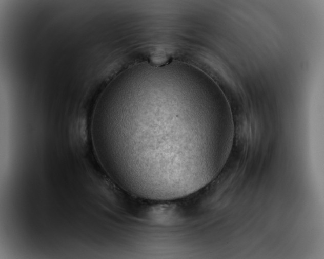 X0000092220700200709211008