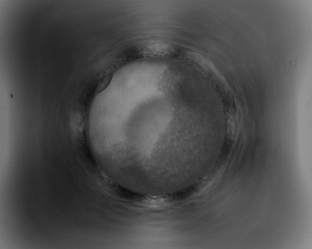 X0000092220701200709211008
