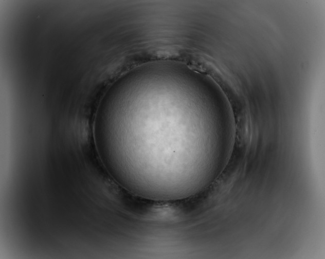 X0000092220704200709211008