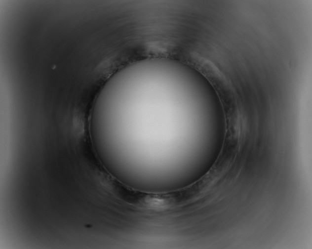 X0000092220706200709211008