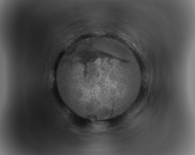 X0000092220707200709211008