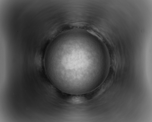 X0000092220708200709211008