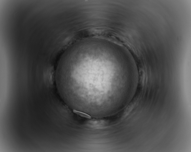 X0000092220712200709211008