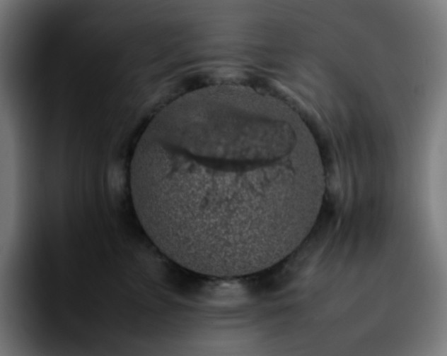 X0000092220715200709211008