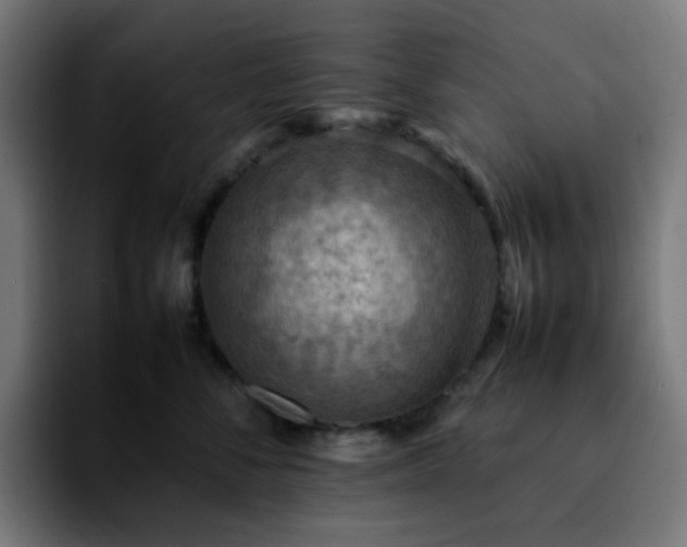 X0000092220716200709211008