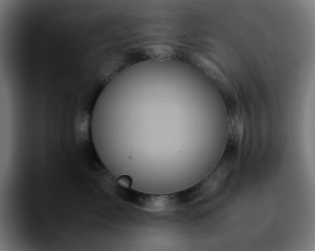 X0000092220717200709211008