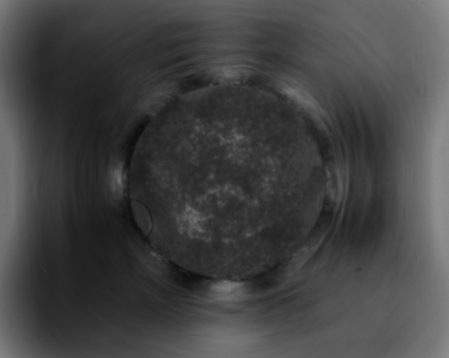 X0000092220718200709211007