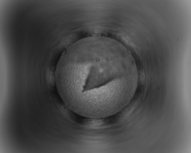X0000092220719200709211007
