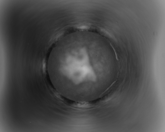 X0000092220720200709211007