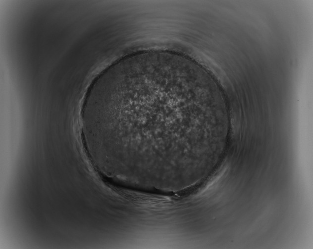 X0000092220721200709211007
