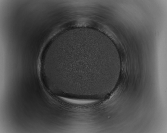 X0000092220722200709211007