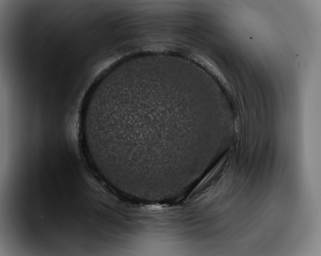 X0000092220724200709211007