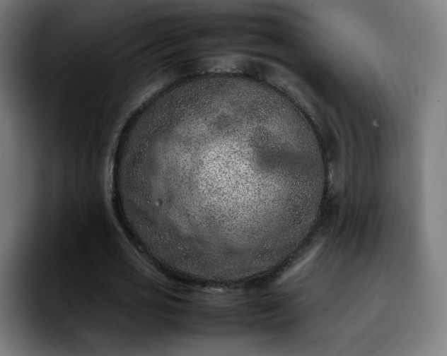 X0000092220725200709211007