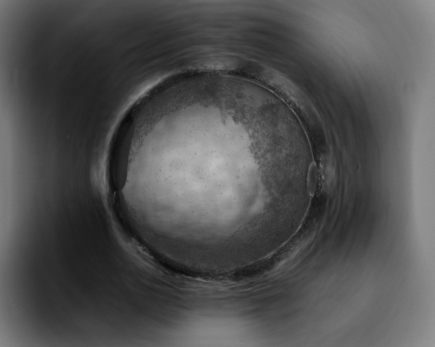 X0000092220726200709211007
