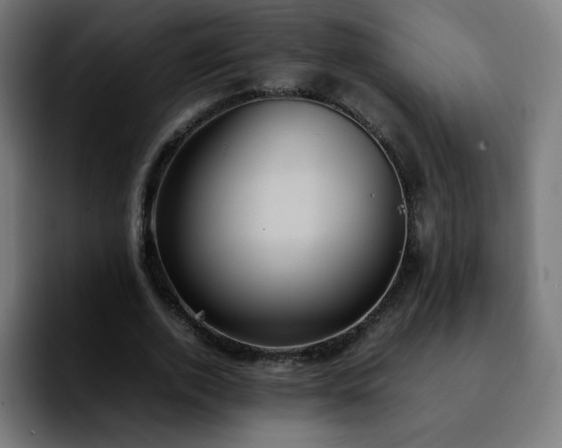 X0000092220728200709211007