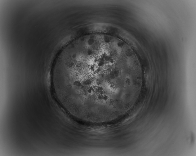 X0000092220729200709211007