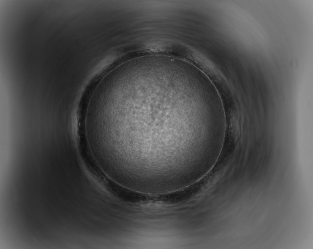 X0000092220730200709211007