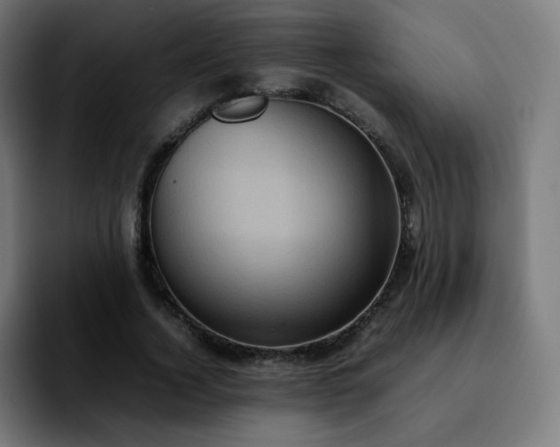 X0000092220732200709211007
