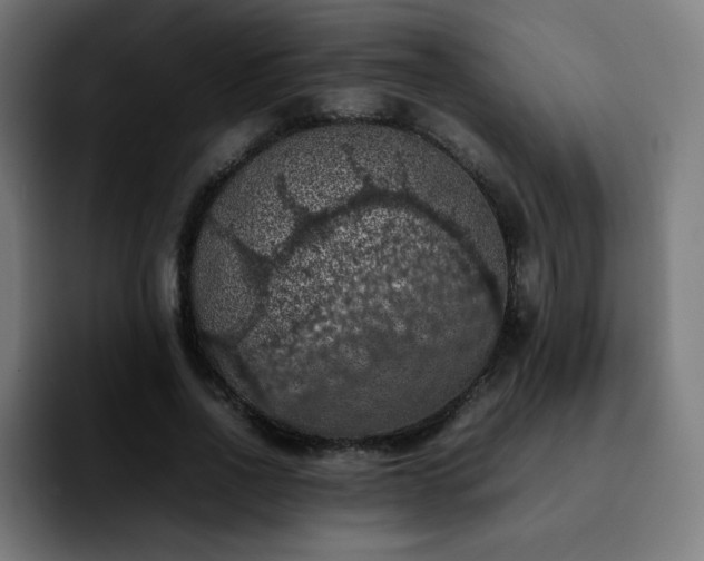 X0000092220734200709211007