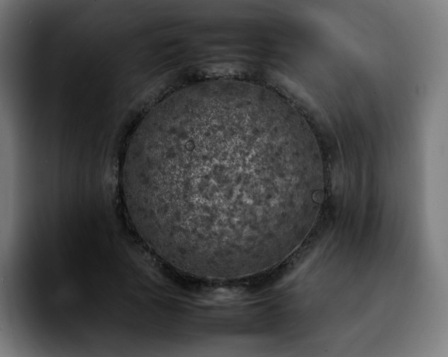 X0000092220737200709211007