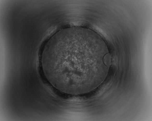 X0000092220738200709211007