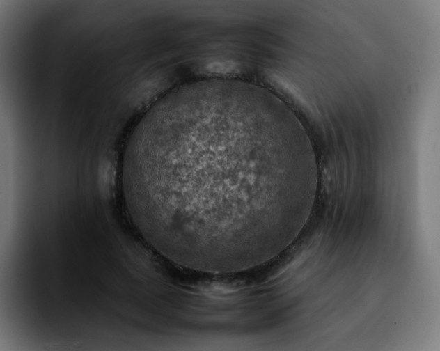 X0000092220739200709211007