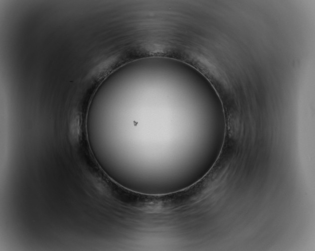 X0000092220740200709211007