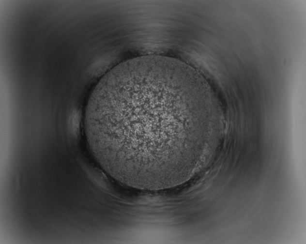 X0000092220742200709211007