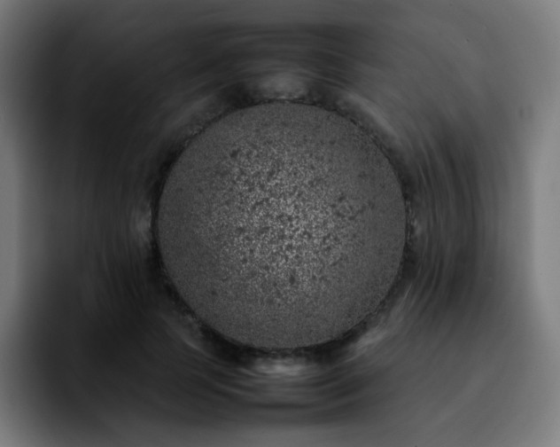 X0000092220745200709211007