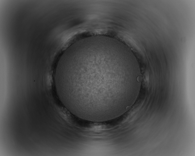 X0000092220746200709211007