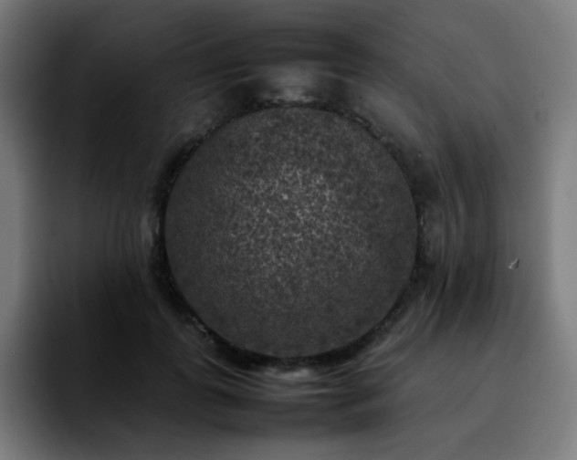 X0000092220747200709211007