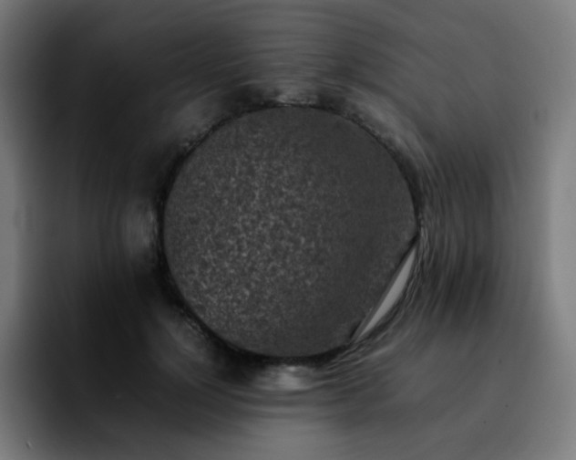 X0000092220748200709211007
