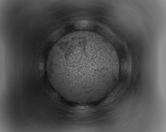 X0000092220749200709211007