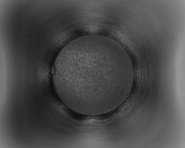 X0000092220750200709211007